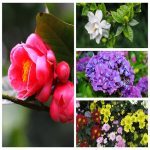 Dịch vụ thay đổi loại hình doanh nghiệp tại Thành Phố Huế 6 Muốn thay đổi loại hình doanh nghiệp tại Thành Phố Huế
