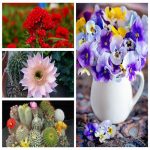 Dịch vụ thay đổi loại hình doanh nghiệp tại Thành Phố Thủ Đức 6 Muốn thay đổi loại hình doanh nghiệp tại Thành Phố Thủ Đức