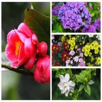 Dịch vụ thay đổi loại hình doanh nghiệp tại TT Huế 6 Muốn thay đổi loại hình doanh nghiệp tại TT Huế