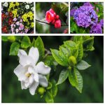 Dịch vụ thay đổi loại hình doanh nghiệp tại Tuyên Quang 6 Muốn thay đổi loại hình doanh nghiệp tại Tuyên Quang