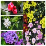 Dịch vụ thay đổi loại hình doanh nghiệp tại Vĩnh Phúc 6 Muốn thay đổi loại hình doanh nghiệp tại Vĩnh Phúc