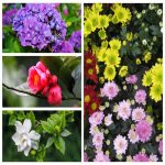 Dịch vụ thay đổi loại hình doanh nghiệp tại Yên Bái 6 Muốn thay đổi loại hình doanh nghiệp tại Yên Bái