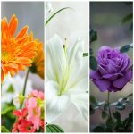 Dịch vụ thay đổi tên công ty tại TPHCM 6 Muốn thay đổi tên công ty tại TPHCM