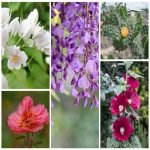 Giải thể hộ kinh doanh Quảng Nam 14 Dịch vụ giải thể tại Quảng Nam