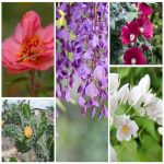 Giải thể hộ kinh doanh Quảng Ninh 6 Dịch vụ giải thể tại Quảng Ninh