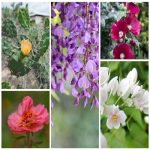Giải thể hộ kinh doanh Sơn La 8 Dịch vụ giải thể tại Sơn La