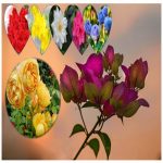 Hộ kinh doanh tại Hải Dương 6 Cần hộ kinh doanh tại Hải Dương