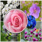Hồ sơ xin giấy phép xây dựng tại Bà Rịa Vũng Tàu 6 Tìm hiểu Hồ sơ xin giấy phép xây dựng Bà Rịa Vũng Tàu