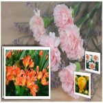 Hồ sơ xin giấy phép xây dựng tại Cần Thơ 6 Tìm hiểu Hồ sơ xin giấy phép xây dựng Cần Thơ