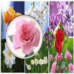 Hồ sơ xin giấy phép xây dựng tại Hà Nam 6 Tìm hiểu Hồ sơ xin giấy phép xây dựng Hà Nam