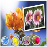 Hồ sơ xin giấy phép xây dựng tại Huyện Cờ Đỏ 6 Tìm hiểu Hồ sơ xin giấy phép xây dựng Huyện Cờ Đỏ
