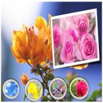 Hồ sơ xin giấy phép xây dựng tại Quận 8 6 Tìm hiểu Hồ sơ xin giấy phép xây dựng Quận 8