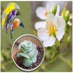 Hồ sơ xin giấy phép xây dựng tại Quận Hoàn Kiếm 6 Tìm hiểu Hồ sơ xin giấy phép xây dựng Quận Hoàn Kiếm