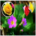 Hồ sơ xin giấy phép xây dựng tại Quận Nam Từ Liêm 6 Tìm hiểu Hồ sơ xin giấy phép xây dựng Quận Nam Từ Liêm