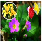 Hồ sơ xin giấy phép xây dựng tại Quận Tân Phú 6 Tìm hiểu Hồ sơ xin giấy phép xây dựng Quận Tân Phú