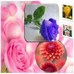 Hồ sơ xin giấy phép xây dựng tại Quận Tây Hồ 6 Tìm hiểu Hồ sơ xin giấy phép xây dựng Quận Tây Hồ
