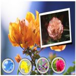 Hồ sơ xin giấy phép xây dựng tại Thành Phố Cần Thơ 6 Tìm hiểu Hồ sơ xin giấy phép xây dựng Thành Phố Cần Thơ