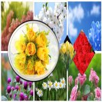 Hồ sơ xin giấy phép xây dựng tại TP Hà Nội 6 Tìm hiểu Hồ sơ xin giấy phép xây dựng TP Hà Nội
