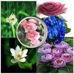 Hướng dẫn thủ tục xin cấp giấy phép xây dựng nhà xưởng tại Bà Rịa Vũng Tàu 6 Hướng dẫn thủ tục xin cấp giấy phép xây dựng nhà xưởng Bà Rịa Vũng Tàu