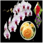 Hướng dẫn thủ tục xin cấp giấy phép xây dựng nhà xưởng tại Hải Phòng 6 Hướng dẫn thủ tục xin cấp giấy phép xây dựng nhà xưởng Hải Phòng