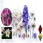 Hướng dẫn thủ tục xin cấp giấy phép xây dựng nhà xưởng Huyện Cần Giờ