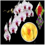 Hướng dẫn thủ tục xin cấp giấy phép xây dựng nhà xưởng tại Nha Trang 6 Hướng dẫn thủ tục xin cấp giấy phép xây dựng nhà xưởng Nha Trang