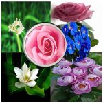 Hướng dẫn thủ tục xin cấp giấy phép xây dựng nhà xưởng Quận 8