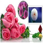 Hướng dẫn thủ tục xin cấp giấy phép xây dựng nhà xưởng Quận Bình Tân