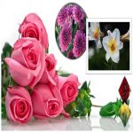 Hướng dẫn thủ tục xin cấp giấy phép xây dựng nhà xưởng tại Thành Phố Huế 14 Hướng dẫn thủ tục xin cấp giấy phép xây dựng nhà xưởng Thành Phố Huế