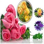 Làm hộ chiếu Bắc Ninh 6 Cần làm hộ chiếu tại Bắc Ninh