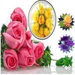 Làm hộ chiếu Bình Định 6 Cần làm hộ chiếu tại Bình Định