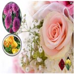 Làm hộ chiếu Bình Thuận 6 Cần làm hộ chiếu tại Bình Thuận