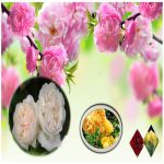 Làm hộ chiếu Hà Tĩnh 6 Cần làm hộ chiếu tại Hà Tĩnh