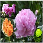Làm hộ chiếu Hòa Bình 6 Cần làm hộ chiếu tại Hòa Bình