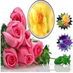 Làm hộ chiếu Phú Quốc 6 Cần làm hộ chiếu tại Phú Quốc
