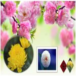 Làm hộ chiếu Phú Thọ 6 Cần làm hộ chiếu tại Phú Thọ