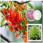 Làm hộ chiếu Quận 4 6 Cần làm hộ chiếu tại Quận 4