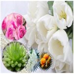 Làm hộ chiếu Thanh Hóa 6 Cần làm hộ chiếu tại Thanh Hóa