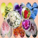 Làm hộ chiếu Thành Phố Hà Nội 6 Cần làm hộ chiếu tại Thành Phố Hà Nội