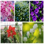 Thành lập công ty 100% vốn đầu tư nước ngoài tại Quận Bình Thuỷ 6 Muốn thành lập công ty 100% vốn đầu tư nước ngoài tại Quận Bình Thuỷ