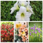 thành lập công ty kinh doanh vật liệu xây dựng tại Quận Hoàn Kiếm 6 Muốn thành lập công ty vật liệu xây dựng tại Quận Hoàn Kiếm