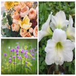 thành lập công ty kinh doanh vật liệu xây dựng tại Quận Tân Phú 6 Muốn thành lập công ty vật liệu xây dựng tại Quận Tân Phú