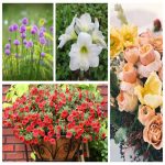thành lập công ty kinh doanh vật liệu xây dựng tại Quận Tây Hồ 6 Muốn thành lập công ty vật liệu xây dựng tại Quận Tây Hồ
