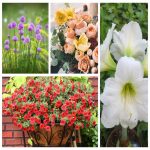 thành lập công ty kinh doanh vật liệu xây dựng tại Quận Thanh Xuân 3 Muốn thành lập công ty vật liệu xây dựng tại Quận Thanh Xuân