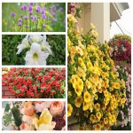 Thành lập công ty kinh doanh vật liệu xây dựng tại Tây Ninh 6 Muốn thành lập công ty vật liệu xây dựng tại Tây Ninh