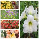thành lập công ty kinh doanh vật liệu xây dựng tại Thái Nguyên 6 Muốn TLCT vật liệu xây dựng tại Thái Nguyên