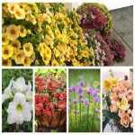 thành lập công ty kinh doanh vật liệu xây dựng tại Tiền Giang 7 Muốn thành lập công ty vật liệu xây dựng tại Tiền Giang
