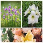 thành lập công ty kinh doanh vật liệu xây dựng tại TP Hà Nội 6 Muốn thành lập công ty vật liệu xây dựng tại TP Hà Nội