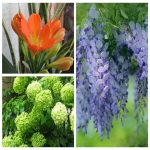 thành lập công ty kinh doanh vật liệu xây dựng tại Tuyên Quang 6 Muốn TLCT vật liệu xây dựng tại Tuyên Quang