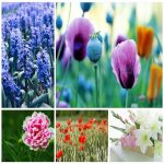 Thành lập công ty tại Nam Định trọn gói 6 Muốn thành lập doanh nghiệp tại Nam Định trọn gói